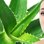 trị sẹo với nha đam