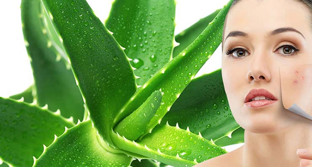 trị sẹo với nha đam